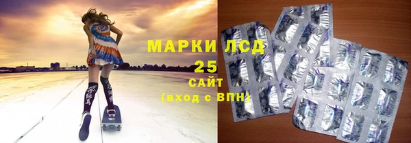хмурый Алзамай