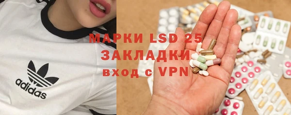 хмурый Алзамай