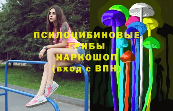 прущие грибы Алексеевка