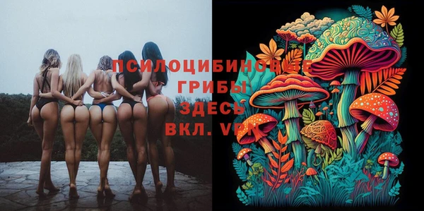 прущие грибы Алексеевка