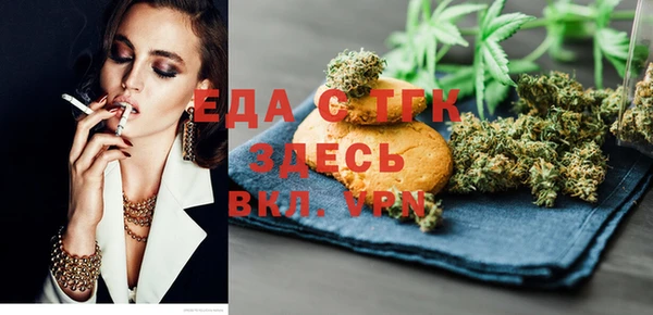 хмурый Алзамай