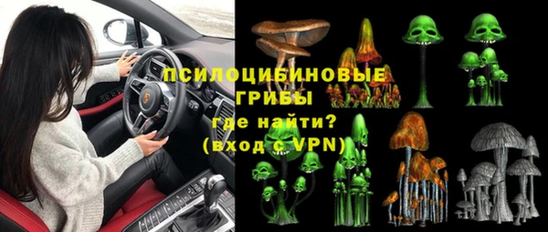 прущие грибы Алексеевка