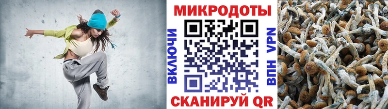 Галлюциногенные грибы Magic Shrooms  shop состав  Дзержинск 